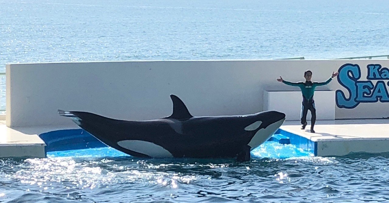 シャチこわい える Note シャチこわい える Note