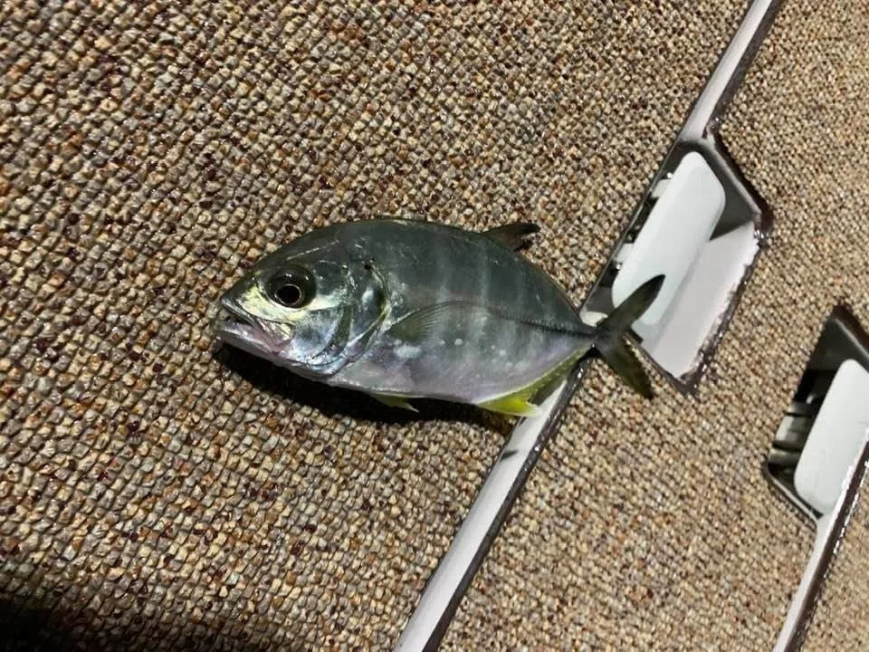 画像19