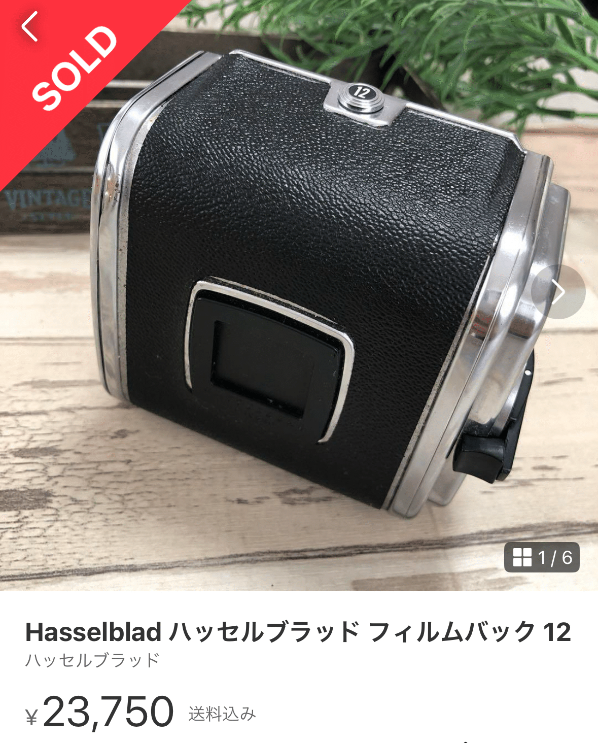 Re:八万円台から始めるハッセルブラッド|けいふ Re:八万円台から始めるハッセルブラッド|けいふ