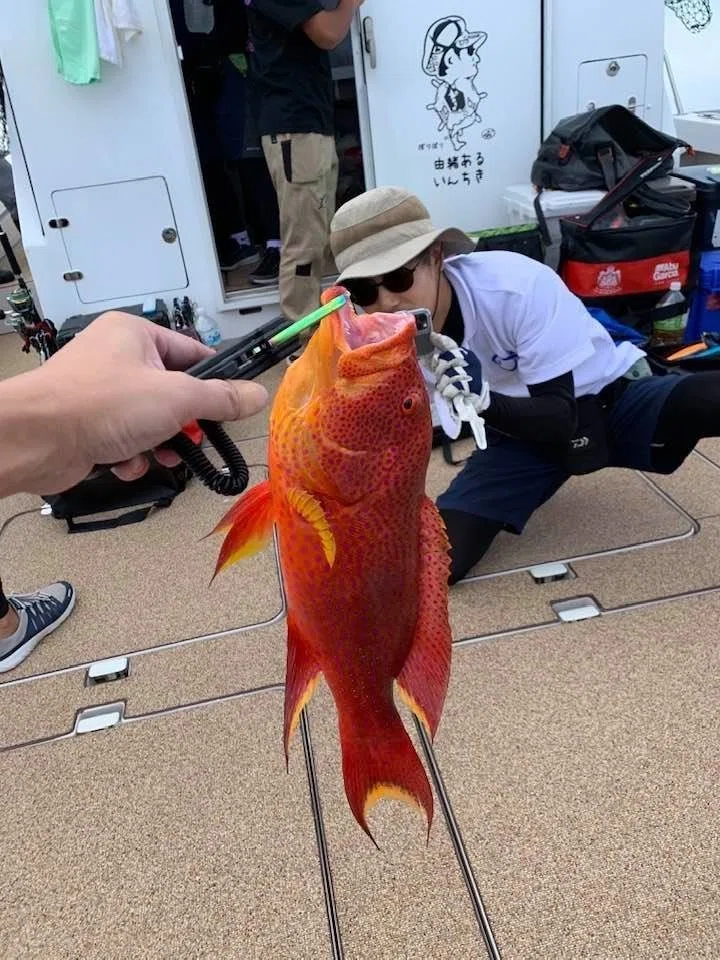画像20