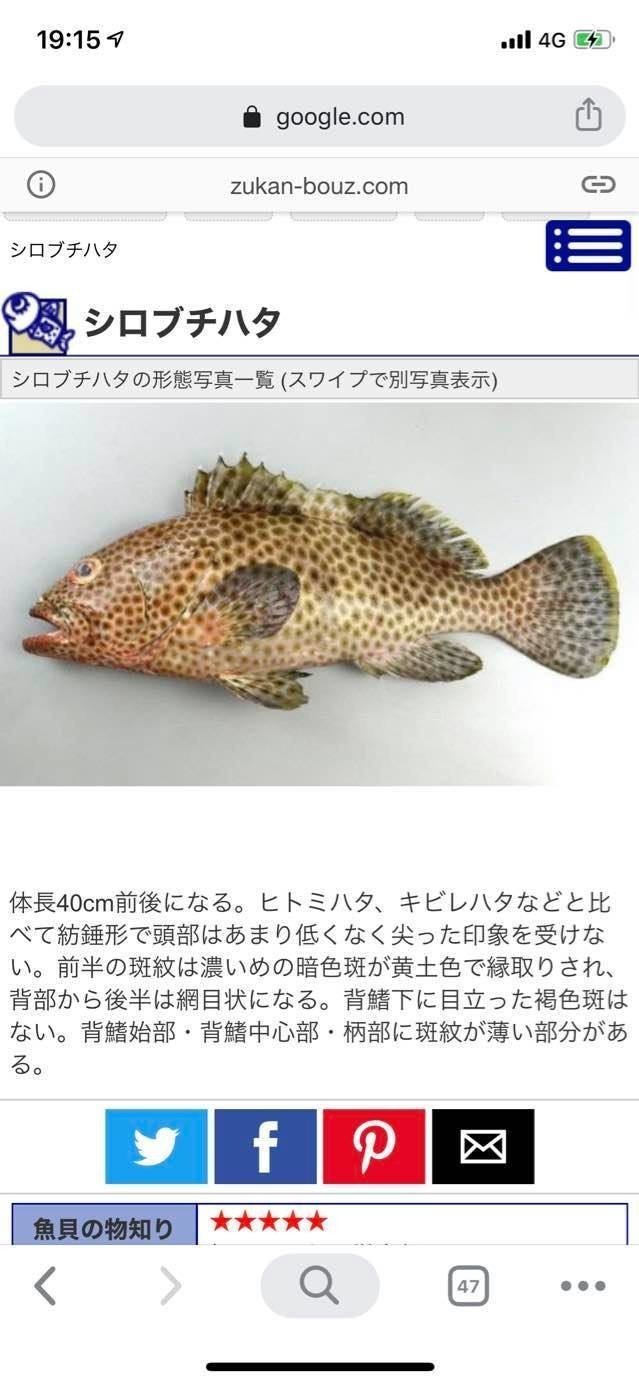 釣行記 42 大島遠征vol1 Taku Onuma Note 釣行記 42 大島遠征vol1 Taku Onuma Note