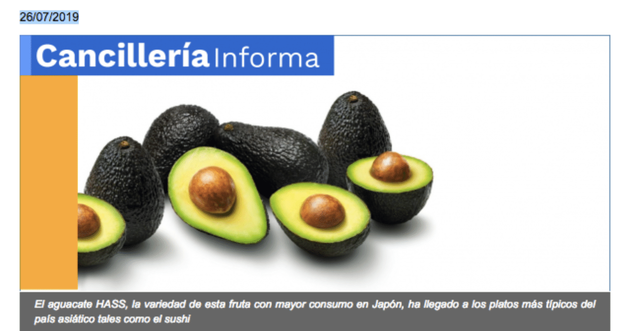 ついに！コロンビアのアボカドが日本にやってくる｜櫻木 由紀 Yuki