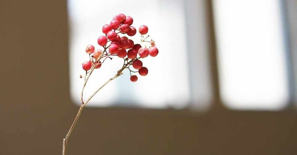 婚活は休まない Yuku Note