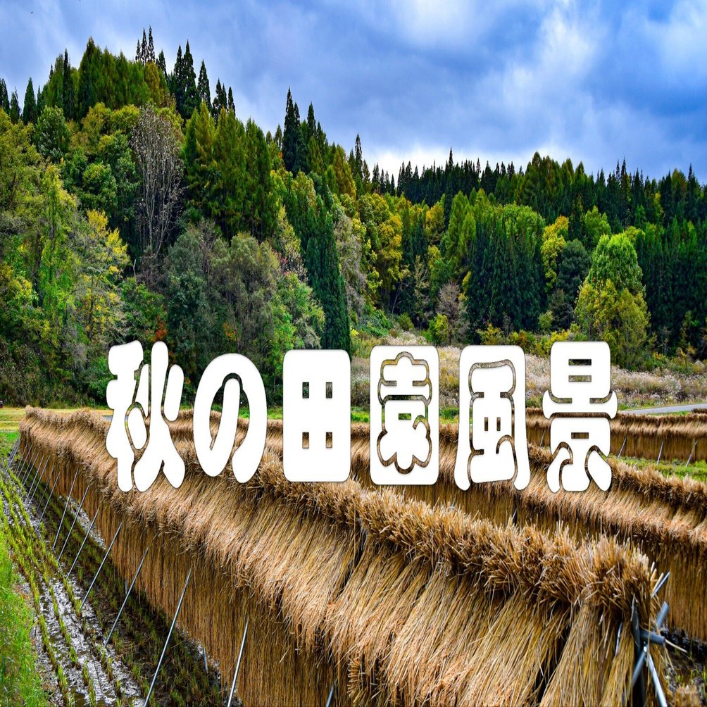 昭和村（秋の田園風景）｜taka