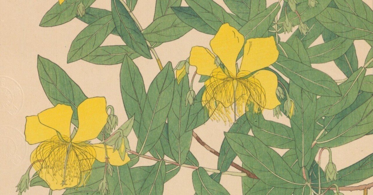 非水百花譜 第7輯｜日本花卉文化株式会社