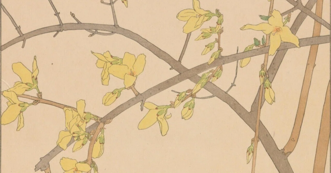 非水百花譜 第9輯｜日本花卉文化株式会社
