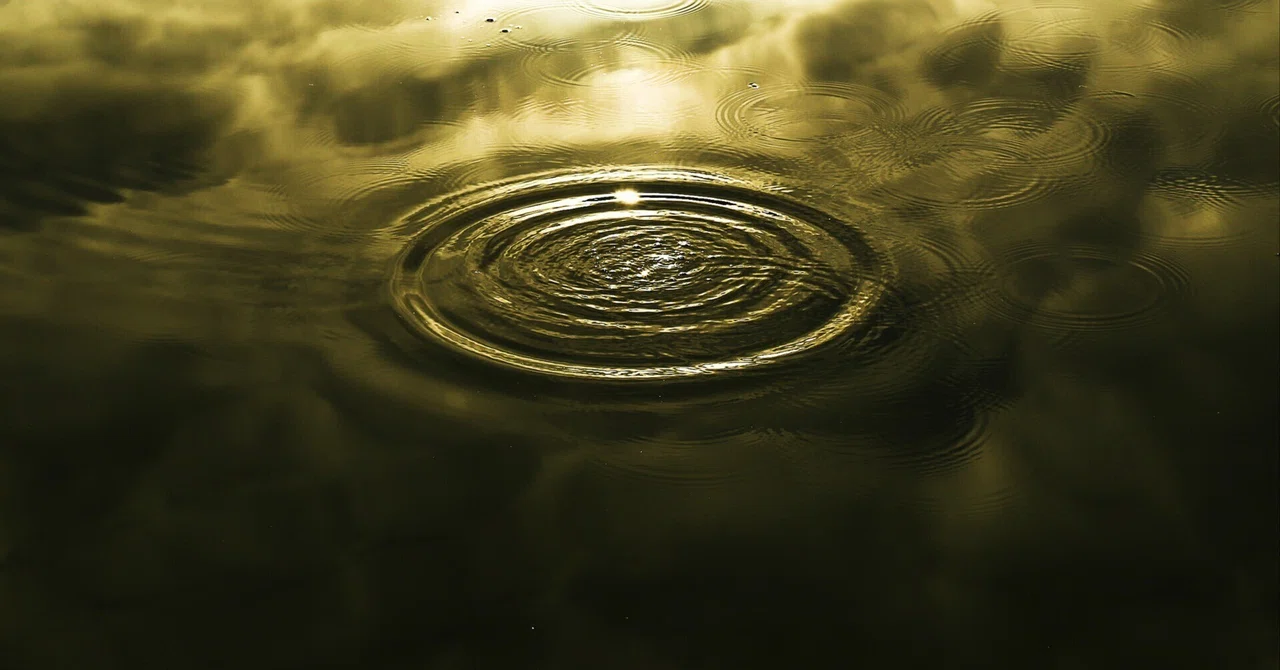 Visualizing Ripples Part 4｜真夜中の散歩