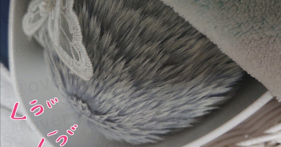 Moflin一般販売開始！（2024.11.10追記）｜過月