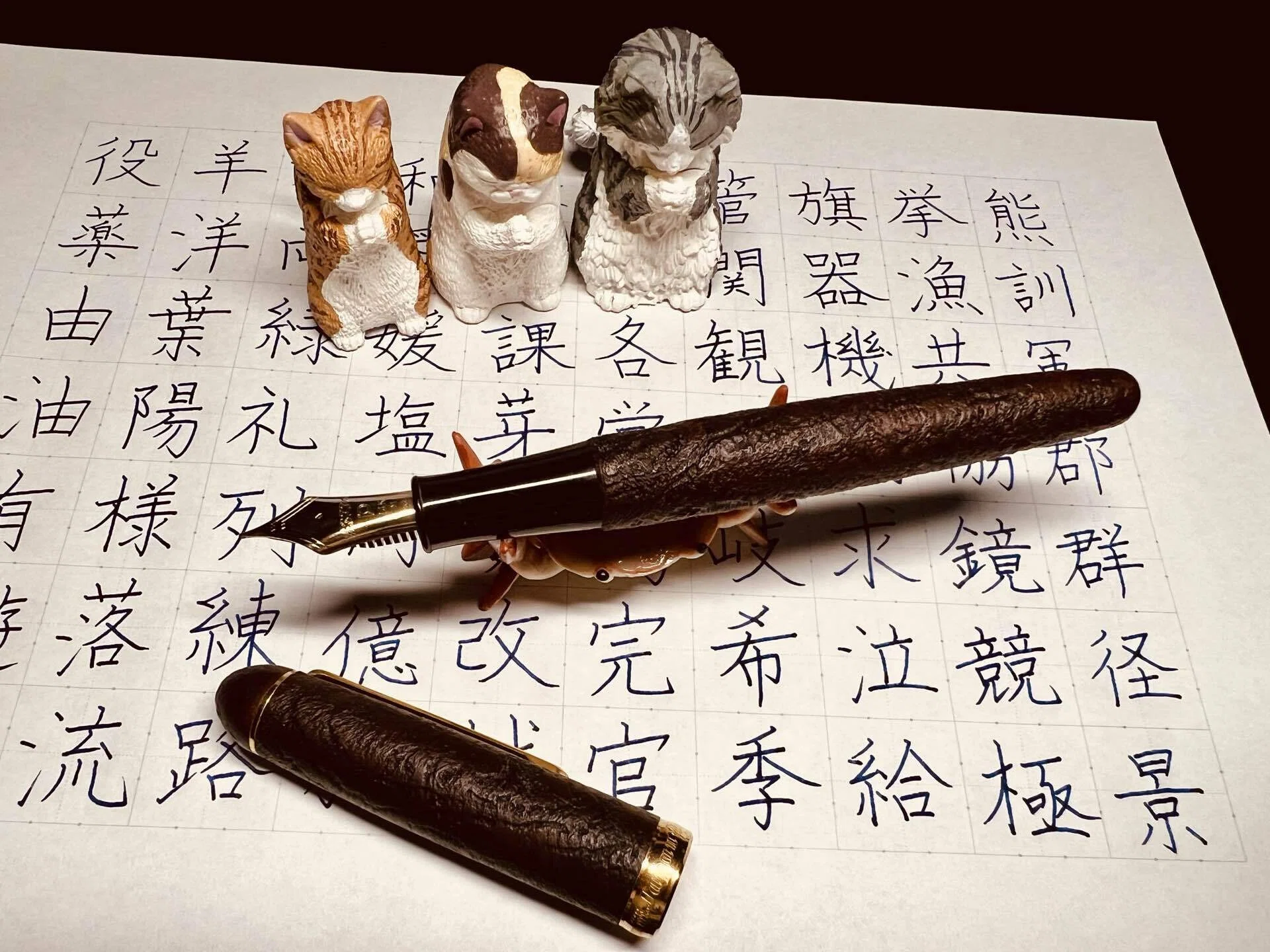 小学生の漢字復習 プラチナ万年筆🇯🇵3776センチュリー ブライヤー