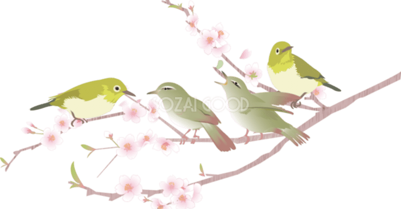 第634回 野鳥の立寄り食堂 民家の庭 翆野 大地 Note 第634回 野鳥の立寄り食堂 民家の庭 翆野 大地 Note