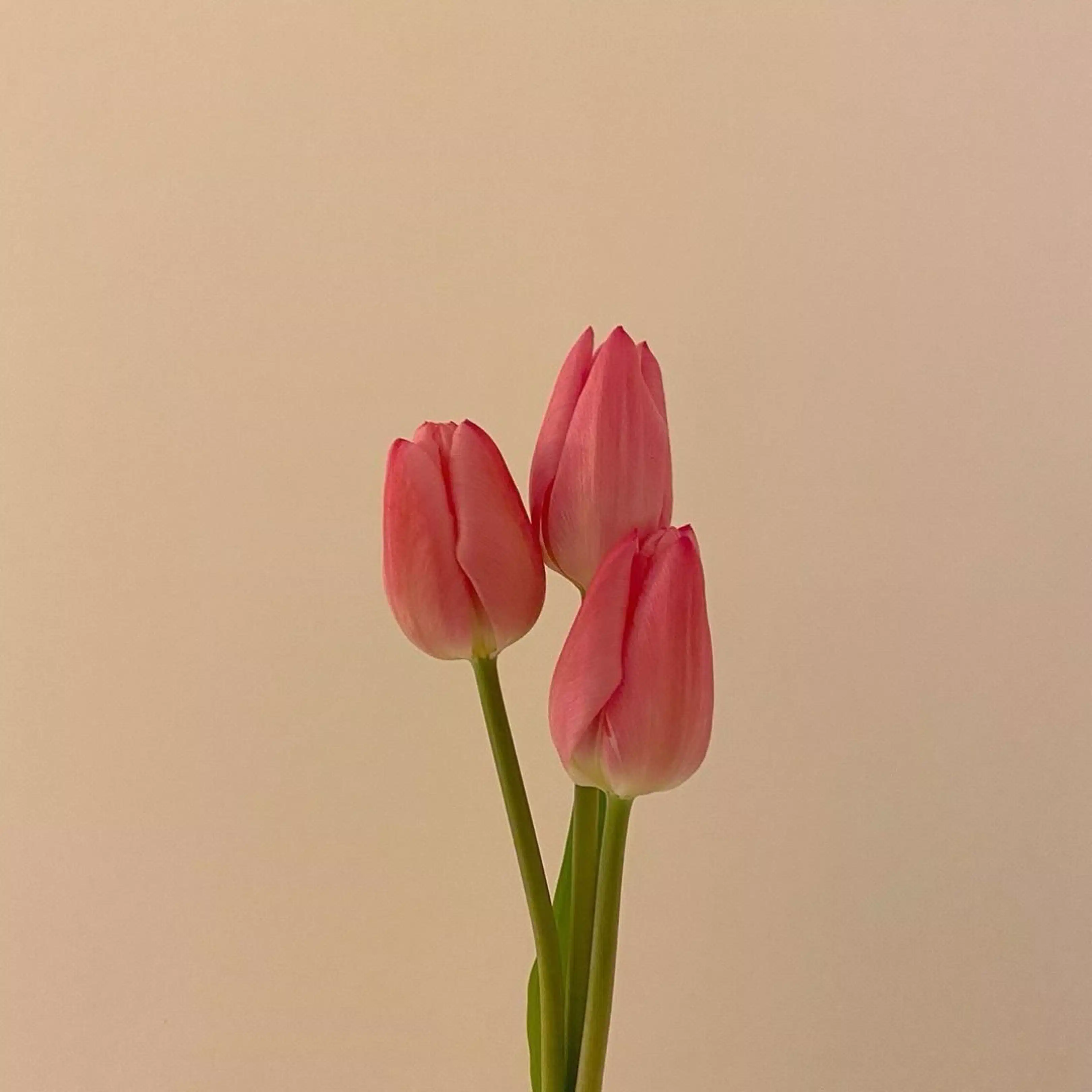 おと