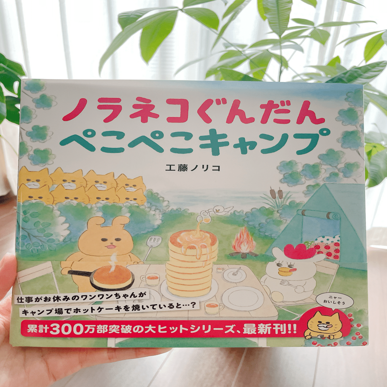 【新品】ことばキャンプ 全5巻 セット 合同出版 絵本 箱付き キャンプに行ってきたので、我が家のキャンプ絵本をご紹介｜なつ