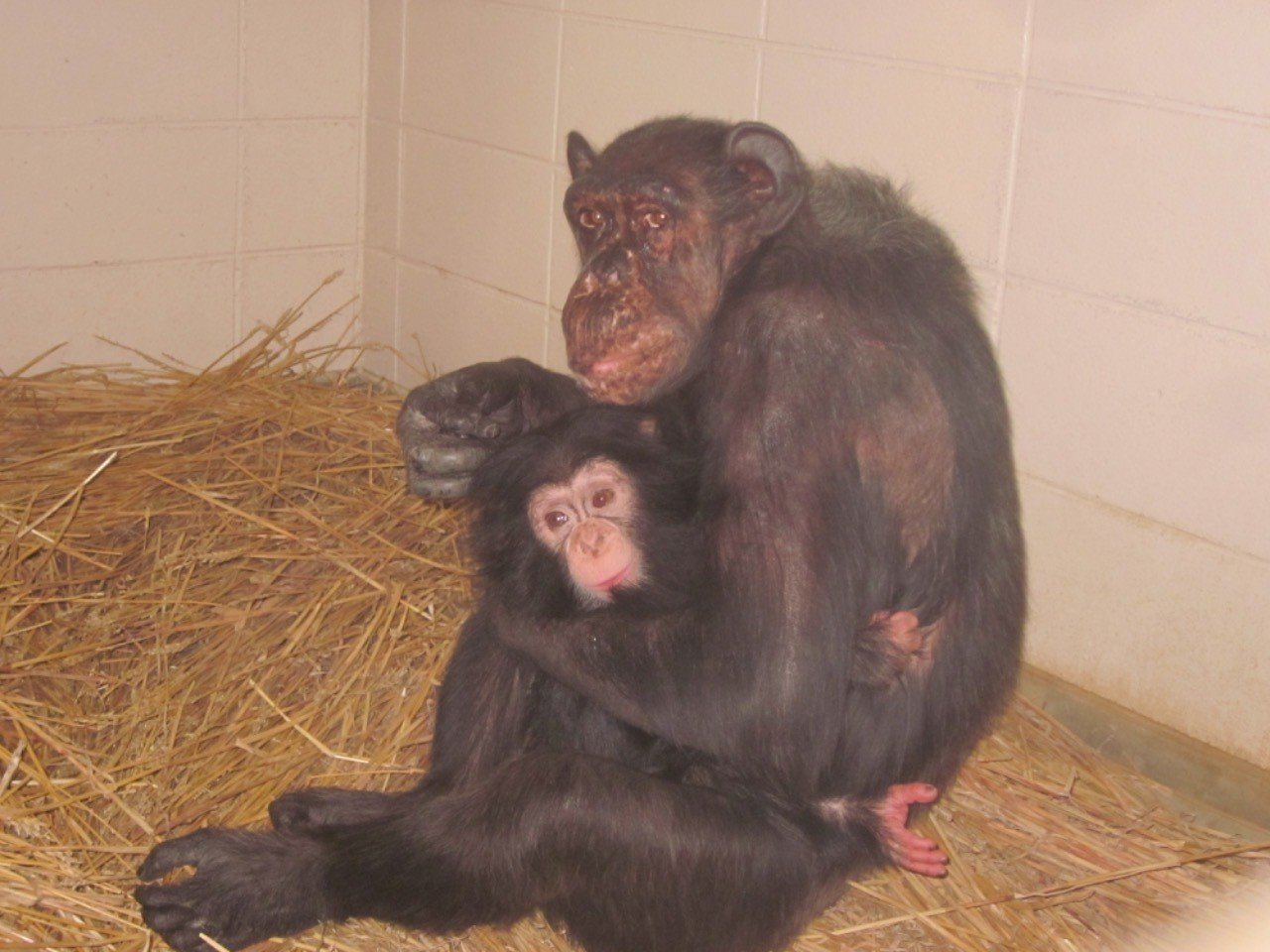 ee846354c3740e7a52d3d978082d77