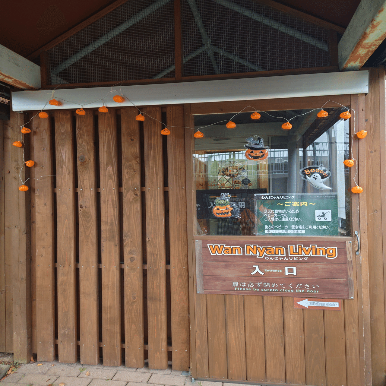 イヌネコ達のHappy halloween👻🎃｜那須どうぶつ王国公式note