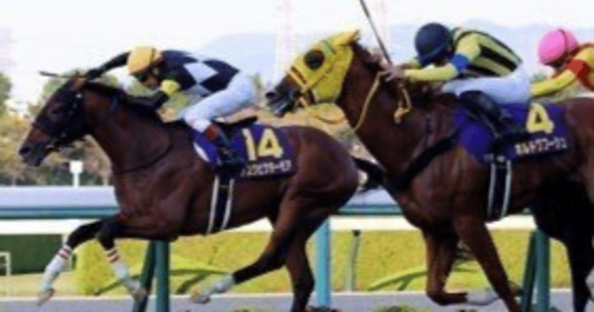 ダノンデサイル】2024年菊花賞 現地単勝、がんばれ馬券セット