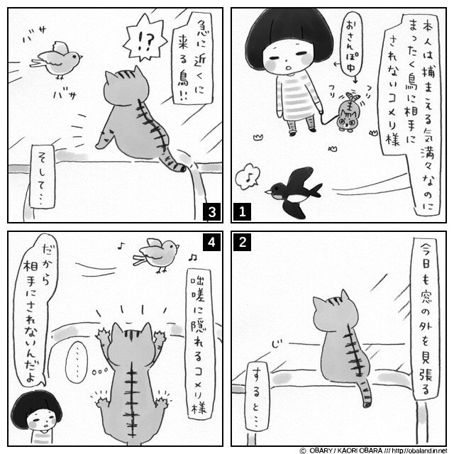 王様ねこ様コメリ様と召使いお姉ちゃんのゆるゆるゆる日記 15 4 24 惑星オバランド Note