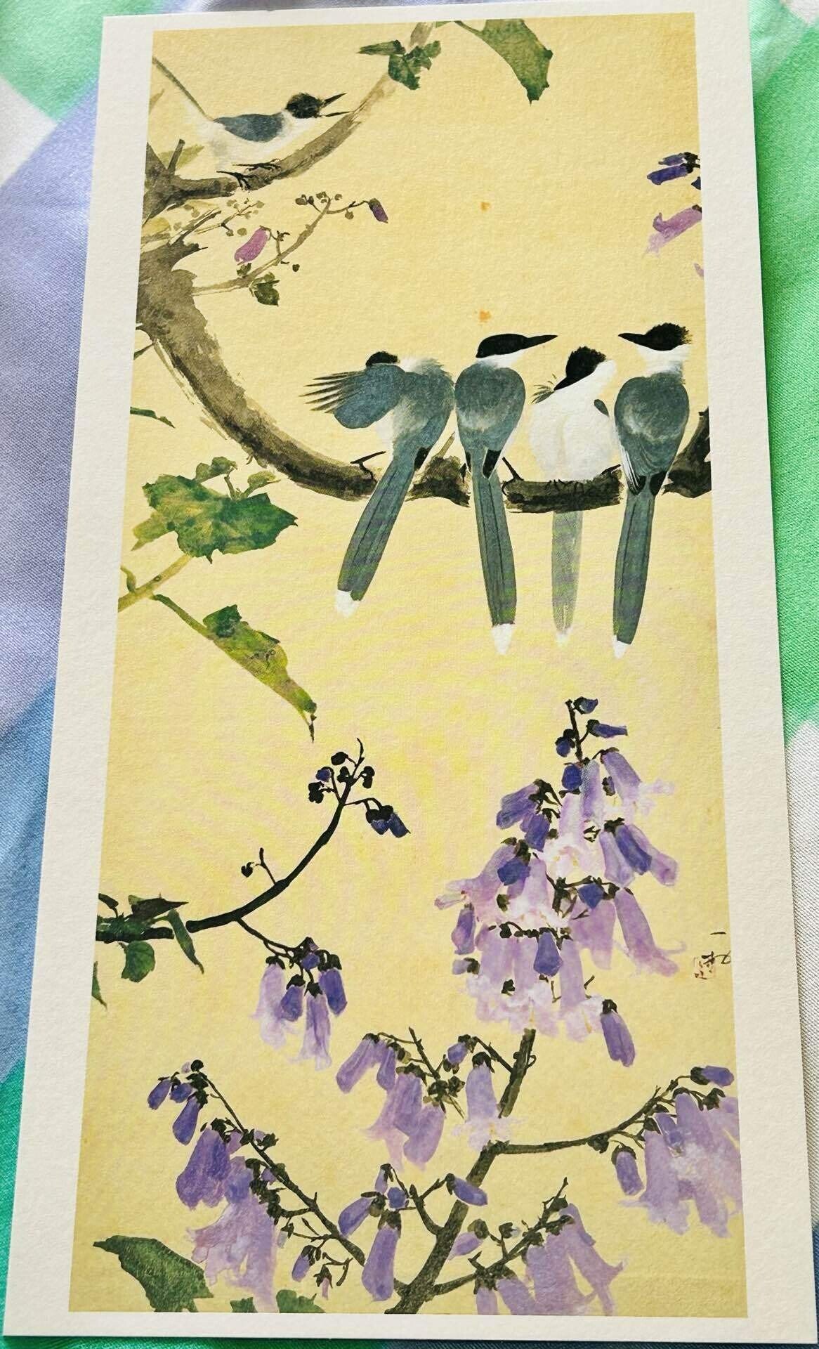 田中一村「桐花に尾長」　額装印刷物 田中一村展 - 日経REVIVE
