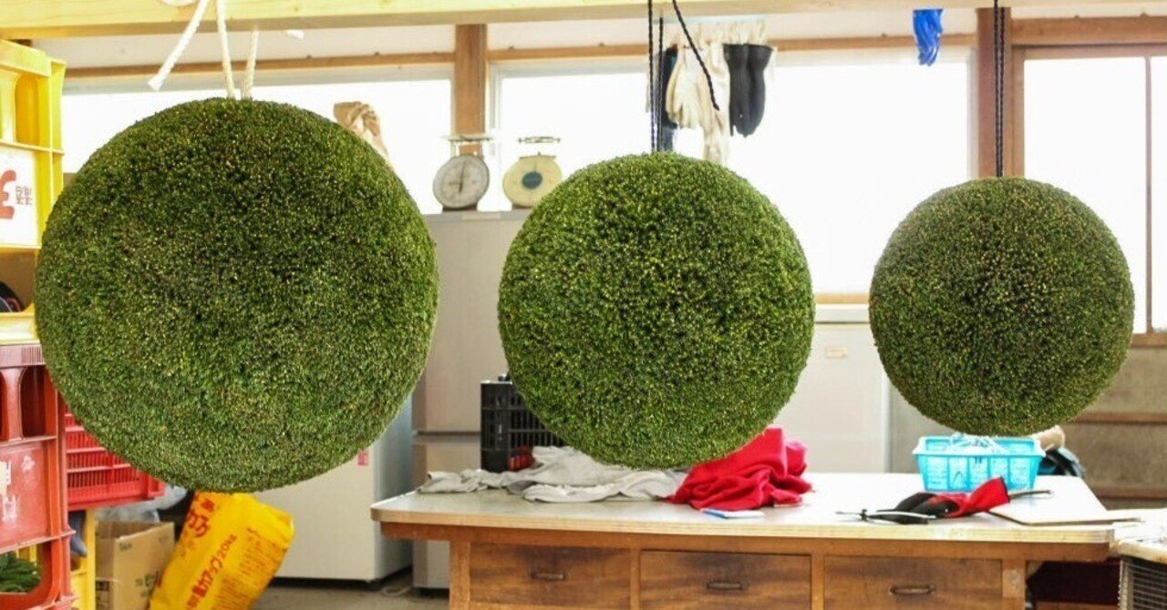 杉玉 約40センチ‼️縁起物 丸くて幸せ 家族円満♪ 杉玉 約