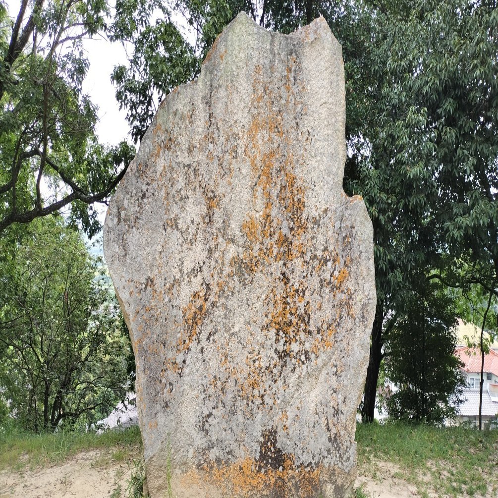 古墳を訪ねる③ 弥生時代最大級の墳丘墓 楯築遺跡｜キキ
