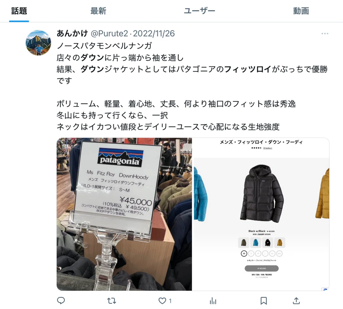 その3】断捨離・厳選パタゴニア【補欠編】｜あんかけ