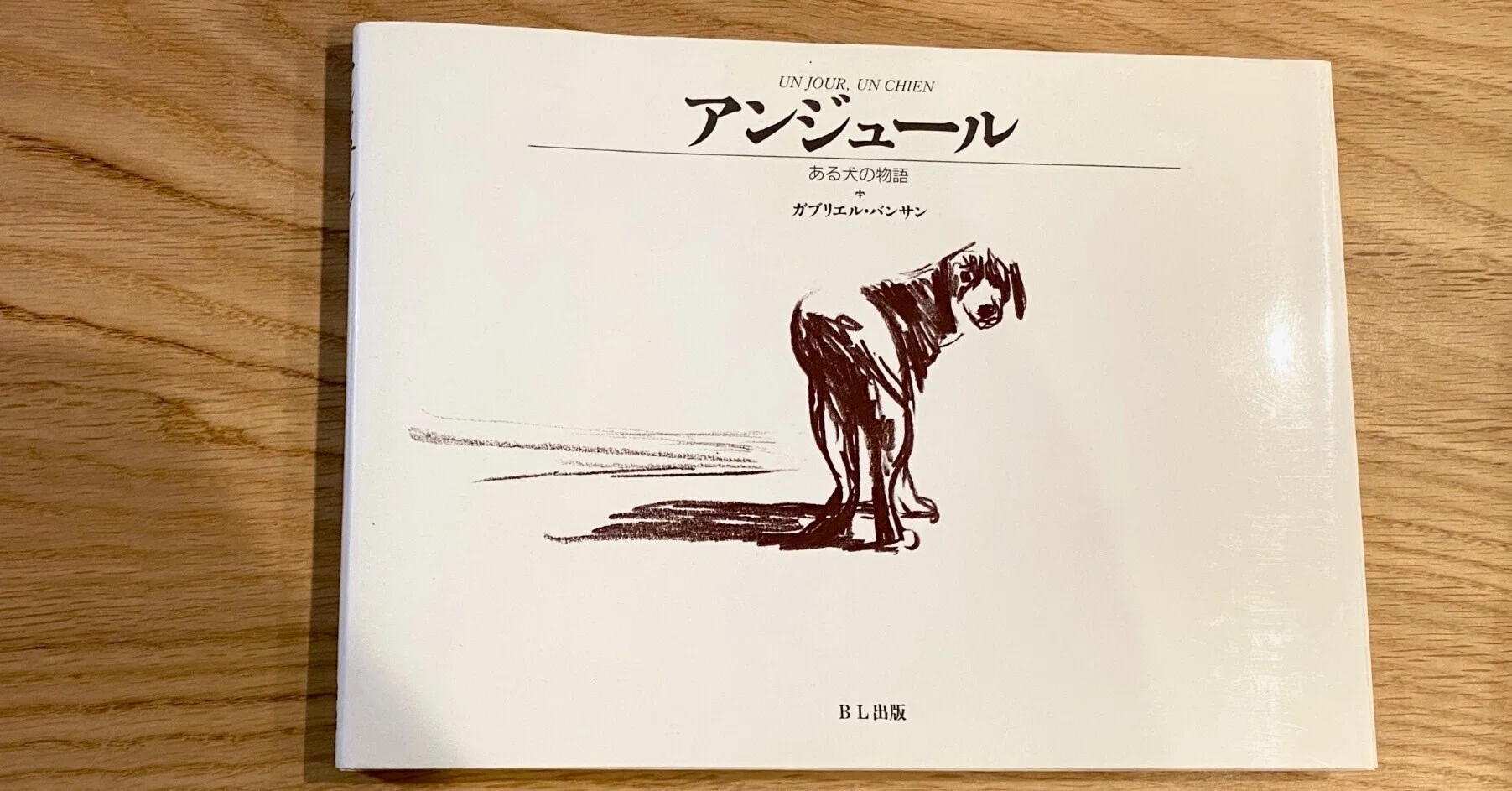 おすすめ絵本「アンジュール」 ある犬の物語｜けだま堂