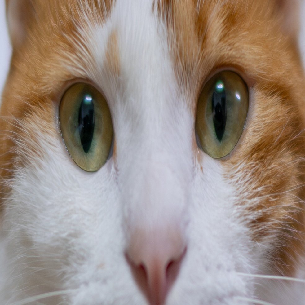 Voigtländer NOKTON 17.5mm F0.95 3/4 すごいレンズなんだけどちょっと