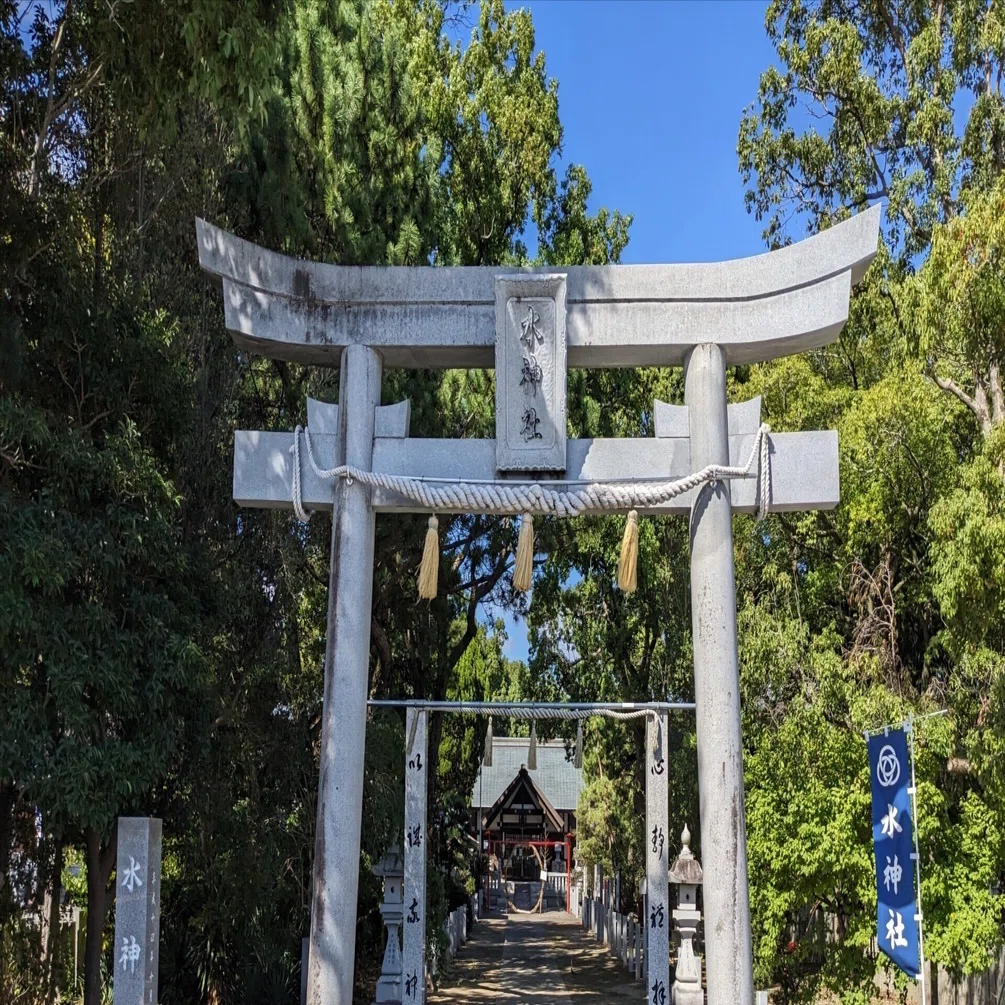 神社] 茅の輪くぐりで厄を落とす。スサノオノミコトからの贈り物。水