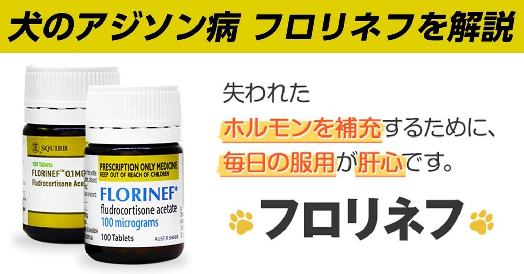フロリネフの通販 個人輸入 犬のアジソン病を解説 マルチーズ まもる Note