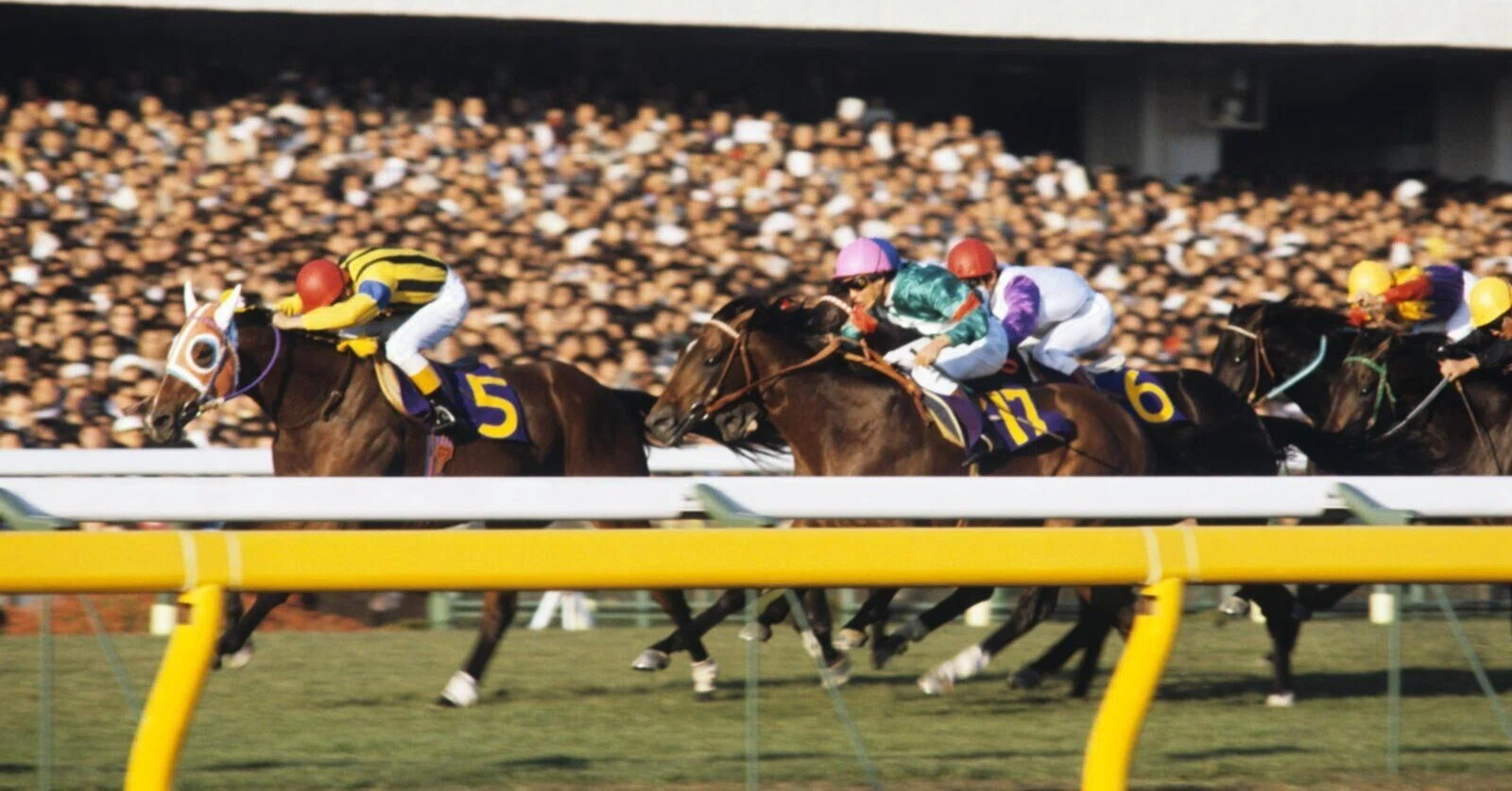 GⅠ天皇賞・秋｜タイツ・競馬ライター【無料予想と馬のお話】