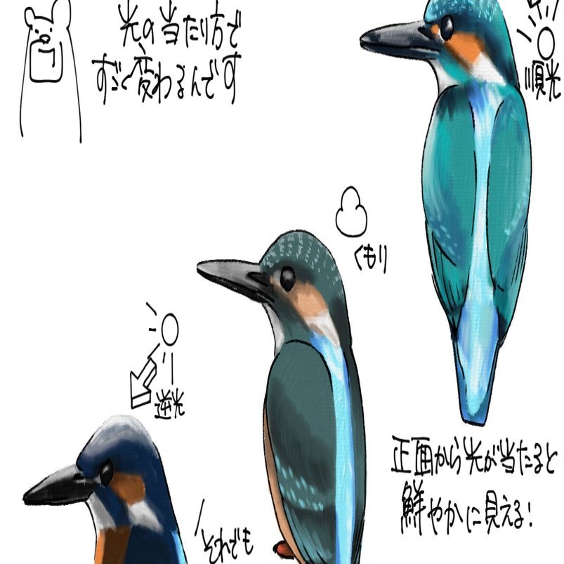 カワセミわーるどさま 未使用級✨モンベル　近年モデル　フレネイパーカ　Mブルー フレネイパーカ Men's｜モンベル