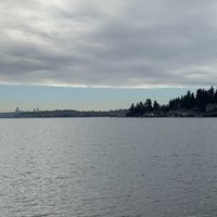 寂しいときに読む本 ゆるりと Note