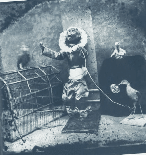 ジョエル・ピーター・ウィトキン｜象の日