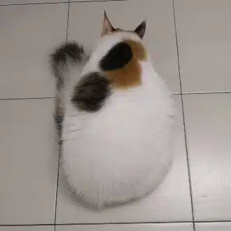 関 羅々の徒然なるままに