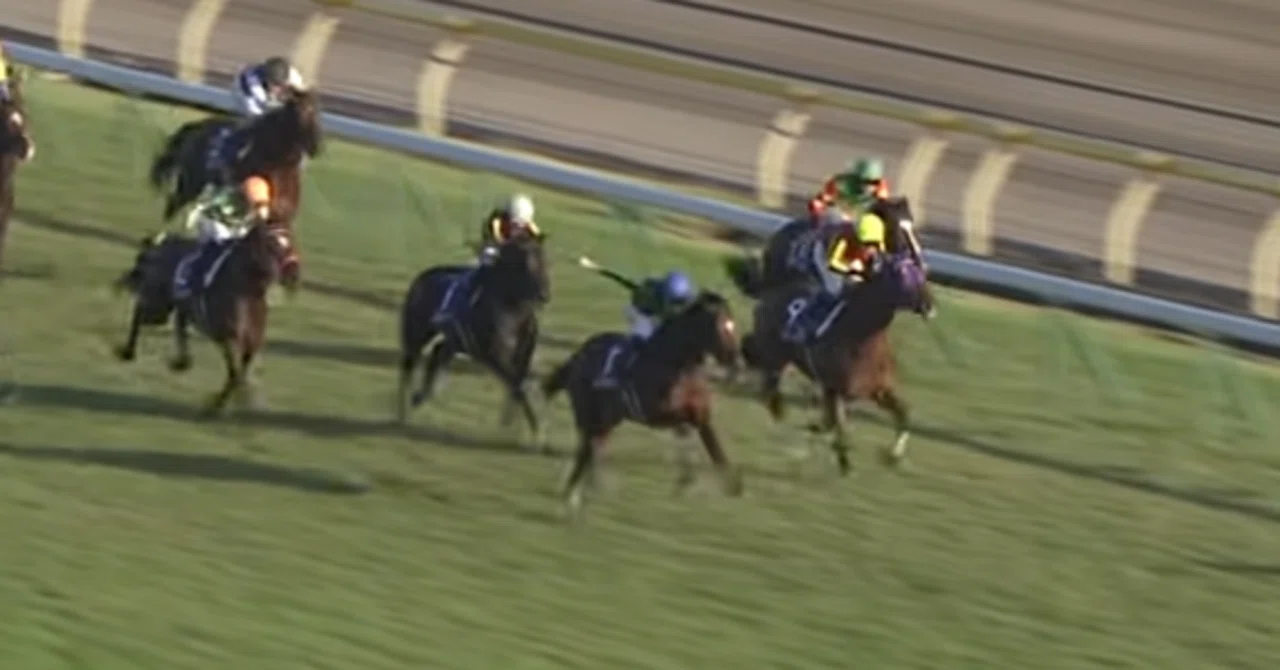 単勝馬券 メイショウサムソン、テイエムオペラオー やむなく