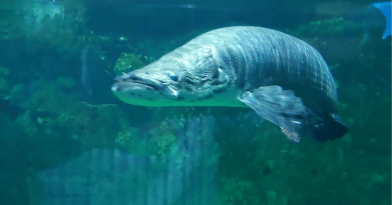 c8640ea8a762df41cafbf7f827a54e