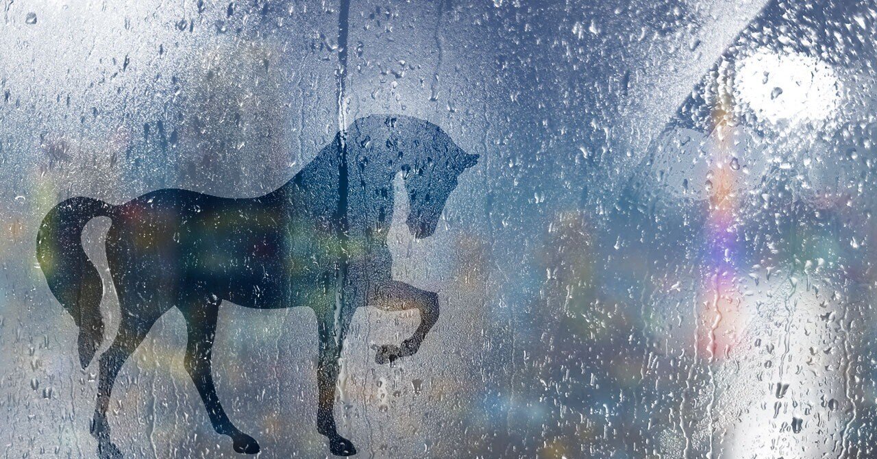 必ず馬にも「初めまして！よろしくね！」と挨拶します｜東スポnote