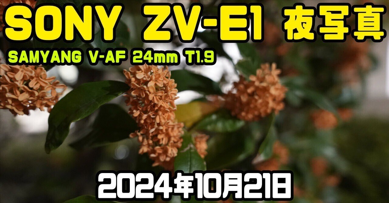 SONY - ❤即購入で1000円OFF❤ SONY α330 毎日の風景がアートになる面白さ SONY α6300で神戸の街をタイムラプス。高感度に強くなり