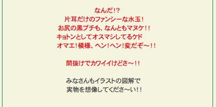 スクリーンショット 2019-10-10 0.59.10