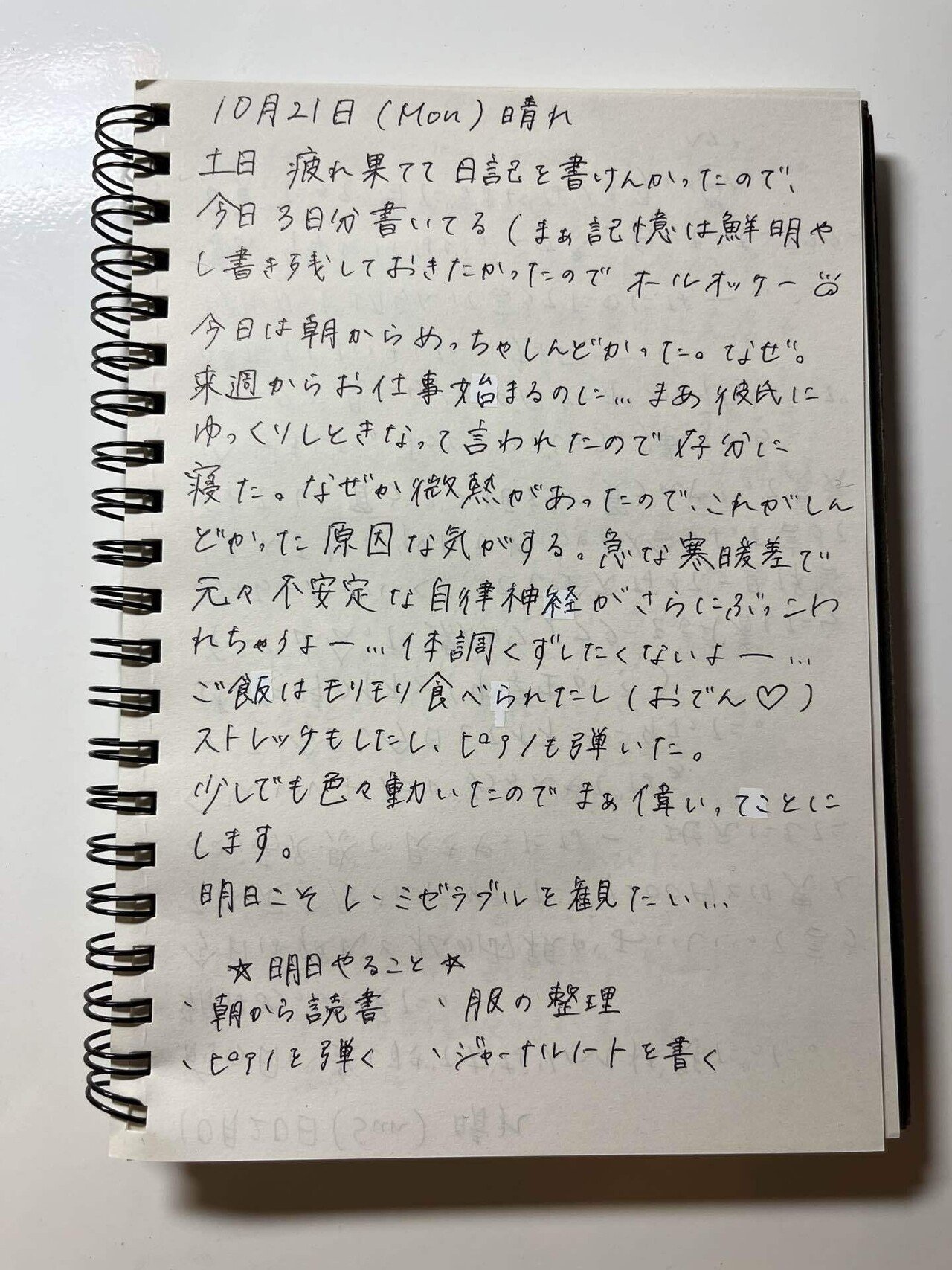 手書き日記とレシート／新潟編 手書き日記♩#17・18・19｜のん