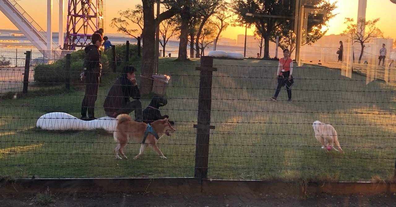 ゲシュタルト の 祈り 私のために生きる