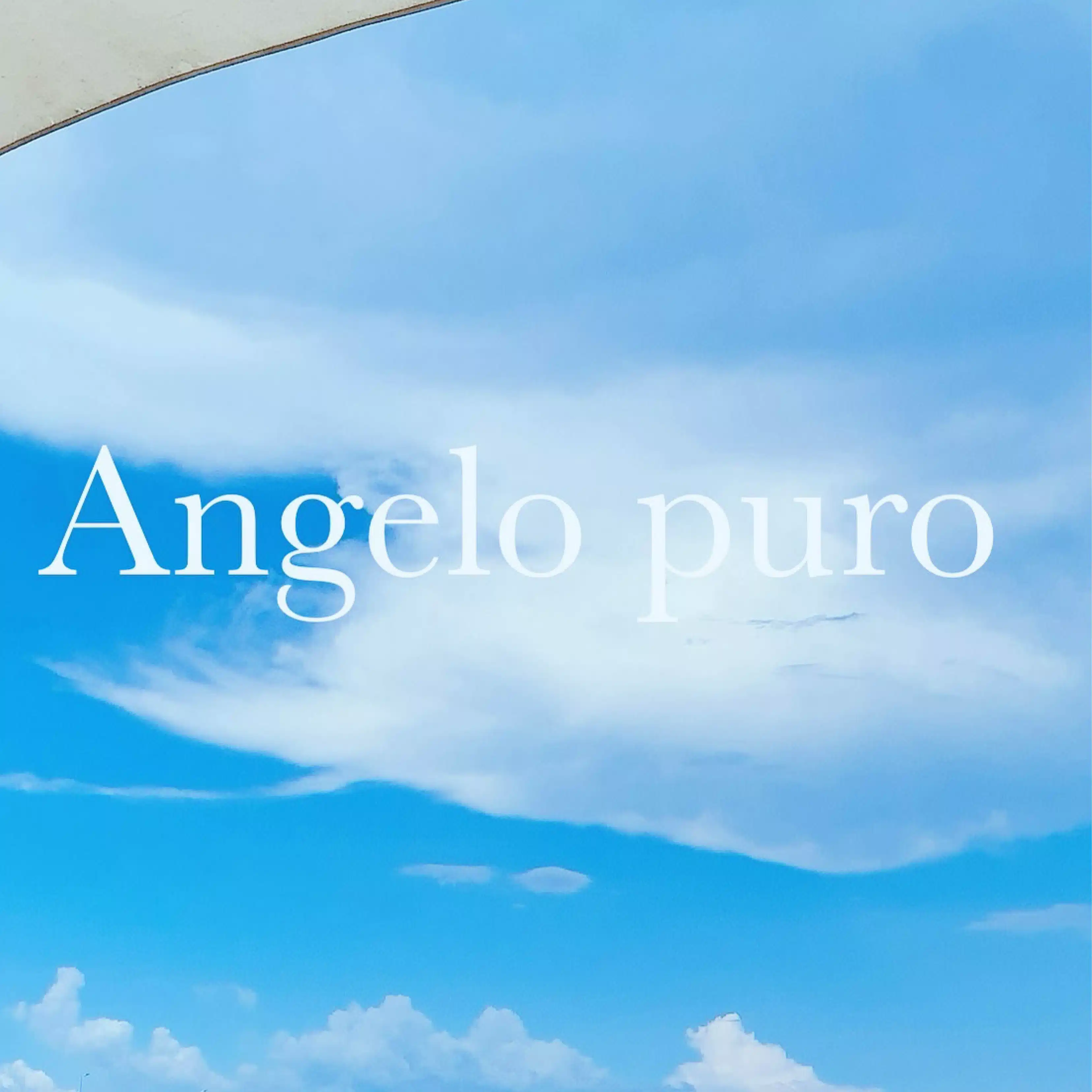 Angelo puro 福宮花果