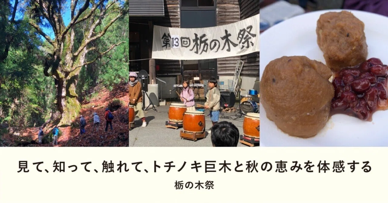 見て、知って、触れて、トチノキ巨木と秋の恵みを体感する｜栃の木祭