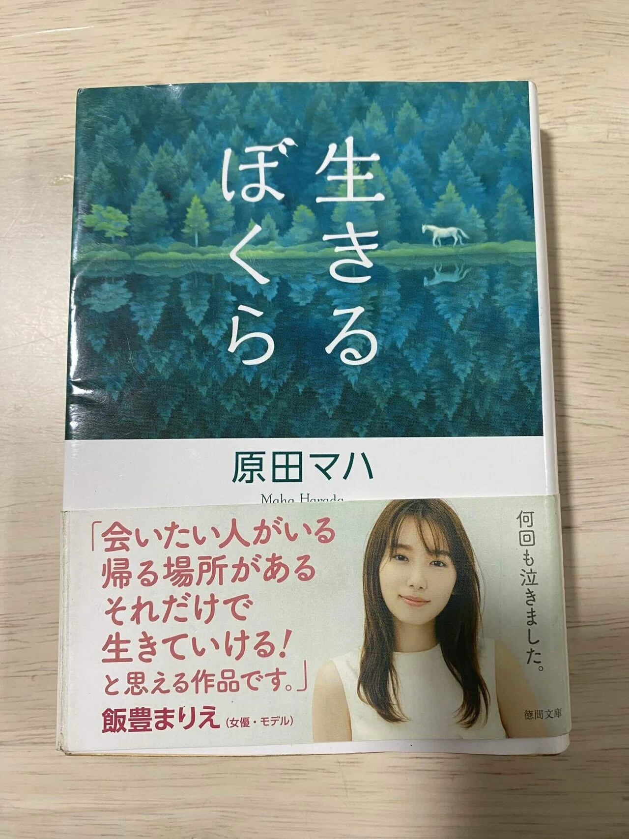 蓼科日記 抄　2013年 初版 598P HC 匿名宅急便コンパクト？ 息子と女房と僕と…蓼科日帰りプチ旅行記｜はらゆうじ