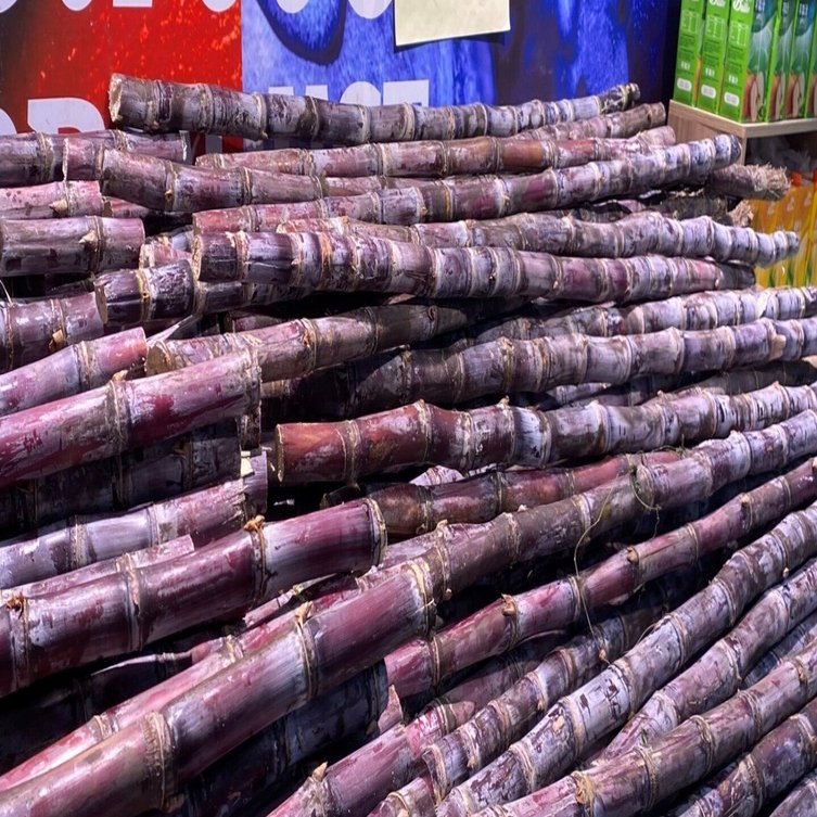 黑甘蔗 サトウキビ　希少 甘蔗 さとうきび 中国のスーパー（記事58）｜さのま（中国から）