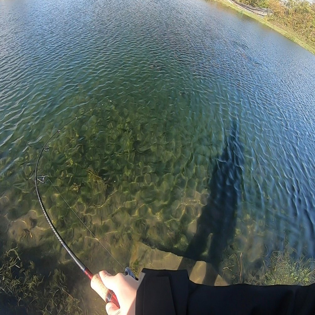 管釣り備忘録 シマノ スコーピオン 2600FF-5 インプレ｜おかじま