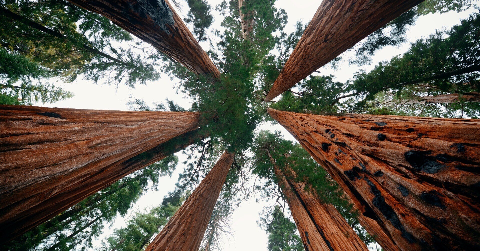 sequoiaプラス仮想windows,2015Macbookair,13インチ F*a様 ※仮想、MacBook Air 2015,13インチ,sequoia - メルカリ