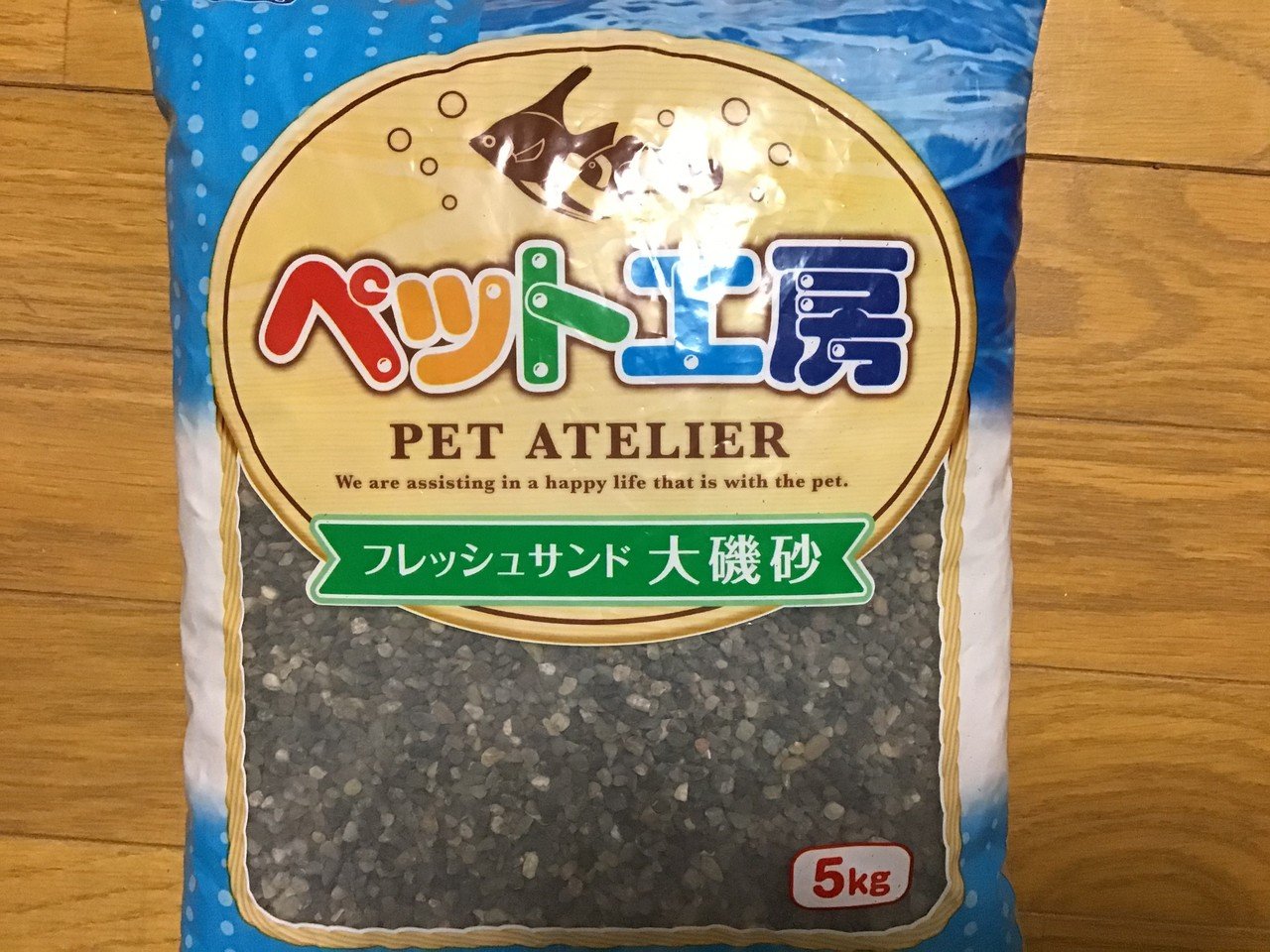 鯉の水槽に砂利を敷く ゆーいちの水槽部屋 Note