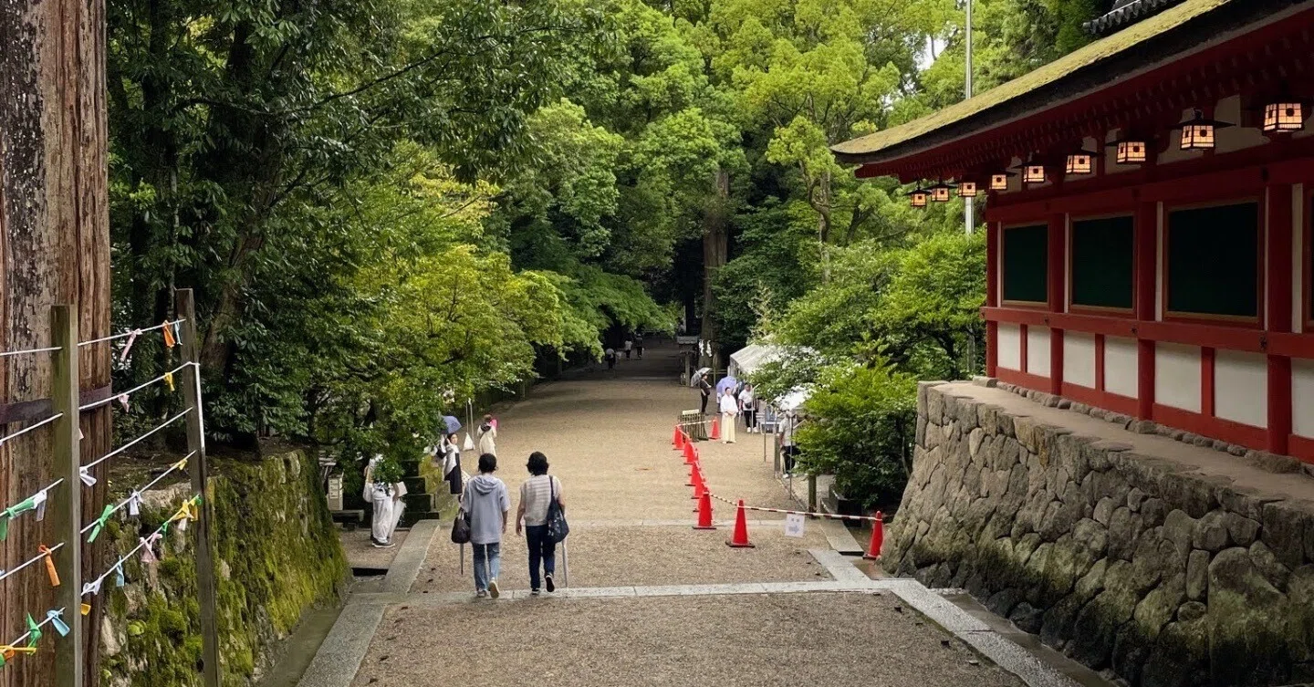 石上神宮の禁足地へ 奈良・天理｜美術館とお寺と猫