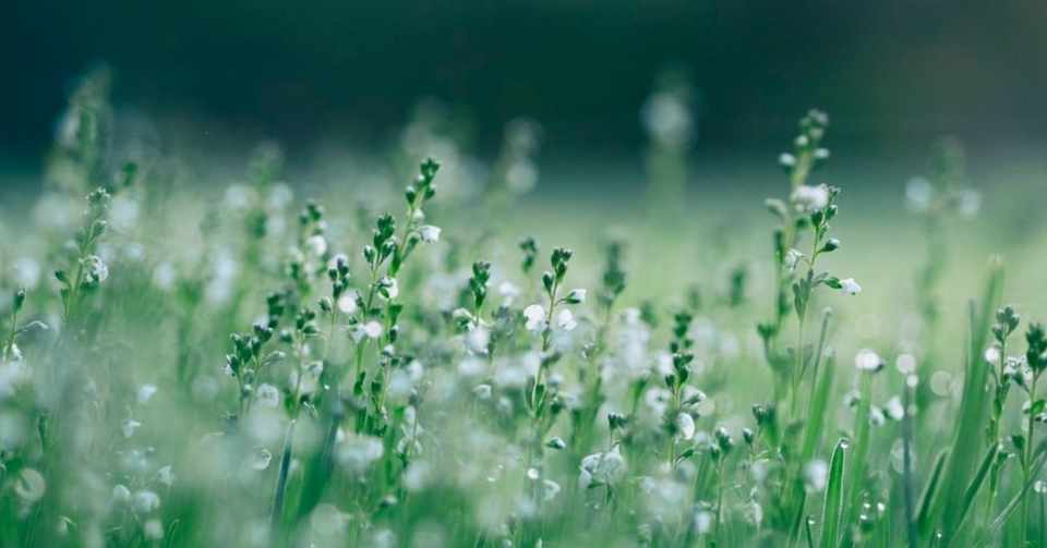 職場に着くと心が落ち着く理由 小木曽一馬 Mtame Inc Note