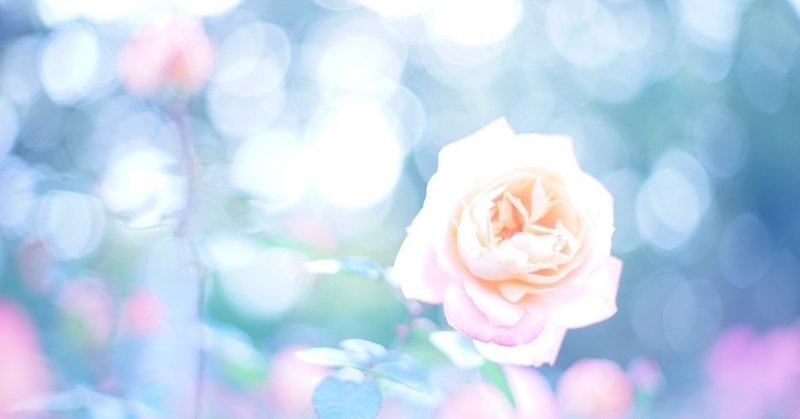 薔薇の心を育ててみる くりたまき Note 薔薇の心を育ててみる くりたまき Note